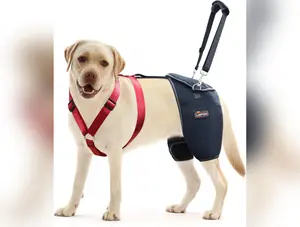 Dog Hip Support Brace for Hip Dysplasia,Hip Pain, Dog Hip Brace Support for Luxating Pattela,Hip Brace for Dogs Warm Hip Joint and Relieve Pain,Dog Hip Dysplasia Brace(Xxl)