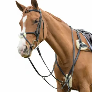 Shires Avignon Five Point Breastplate - Premium Leather Equestrian Horse Tack Black / Cob