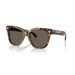 Versace 4511 Sunglasses