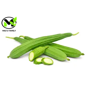 Angled Luffa Seeds - Ridged Sponge Gourd Mướp Khía High-Quality Tropical Vine Seeds for Asian Cooking by MAI'S FAMILY