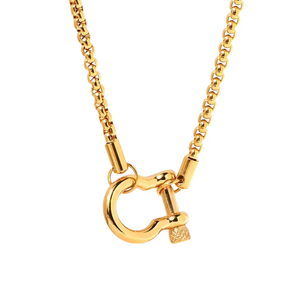 Horseshoe Carabiner Chain Necklace - Stainless Steel