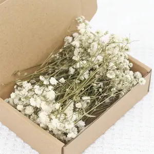 NortureFlora Mini Dried Baby’s Breath Flower Bouquet, 50-400PCS Natural White Gypsophila Decor, Wedding Bridesmaid Gifts & Table Decor, DIY Home Supplies