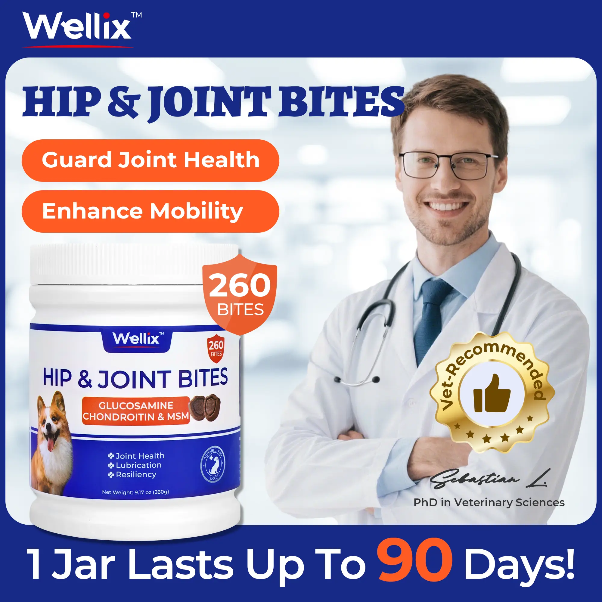 Wellix 260-Count Dog Hip and Joint Chews, Joint Supplement with Glucosamine Chondroitin MSM, Hip & Joint Pain Relief for All Breeds