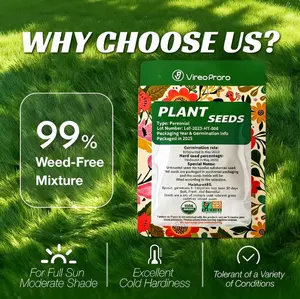 Lawn seeds, grass seeds for lawn planting, suitable for outdoor yards and landscape areas. Suitable for shady areas. plants