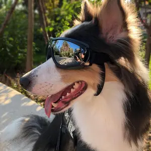 Tinted Dog Sunglasses