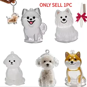 Pet Hair Memorial Keychain Pendant, Transparent Acrylic Material Capsule Holder for Cats & Dogs, Keepsake Accessory with Hanging Loop, Daily Wear