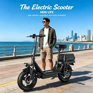 Folding Electric Bike for Adults , 500W Peak 750W Max Motor ,48V 15AH Removable Battery 14" Foldable Ebike, Dual Rear Shock, Dual Disc Brakes, Turn Signal Rear Tail Light