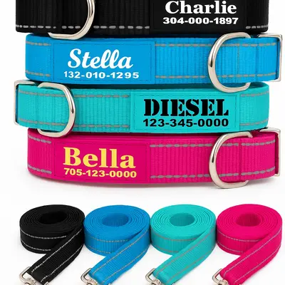 Dog Pet Collar Names TikTok Shop