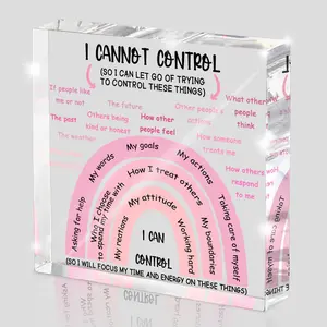 Mental Health I Can Control Decor, 4x4 Inch Pink Acrylic, Acrylic Plaque Decor, Women's Therapy Office Sign, Girls Dorm Essentials, Motivational Room Decor and Gift, Home Office Decor, Acrylic Signage Plaque
