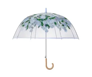 Umbrella-Hydrangea Clear