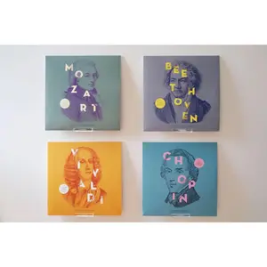 Double Vinyl Record Cover Display Mount