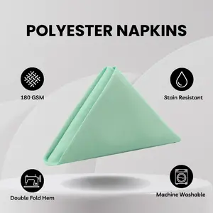 20 Inch Polyester Cloth Napkins Mint (Pack of 10)