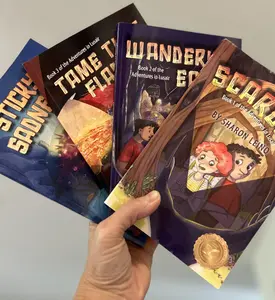 Bundle of 4 chapter books