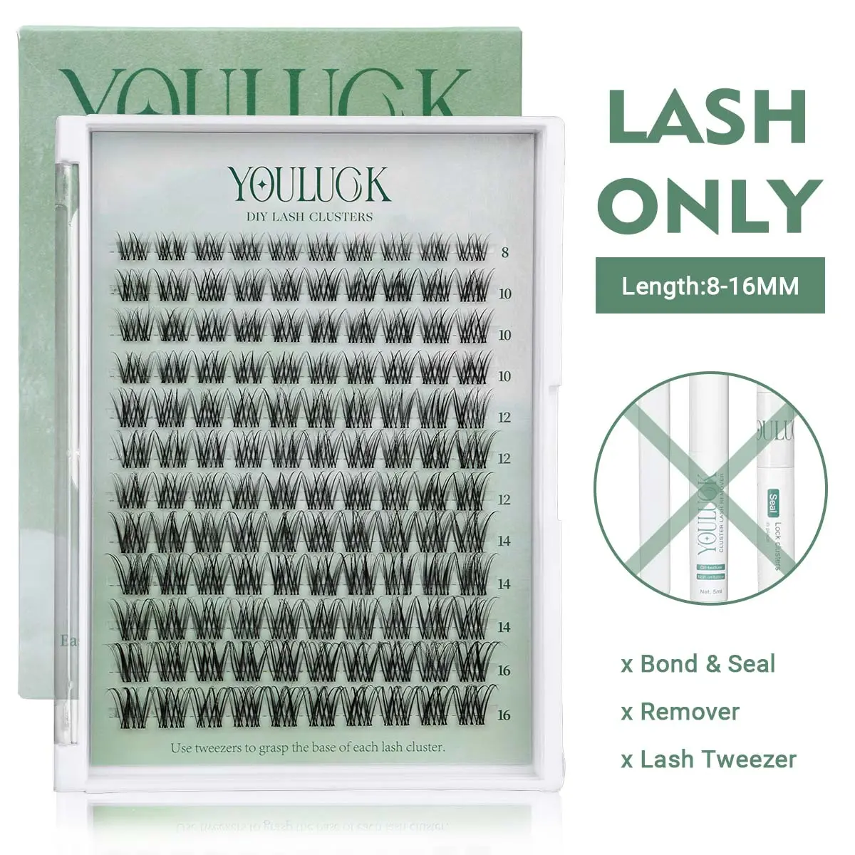 Only Lash - Venus