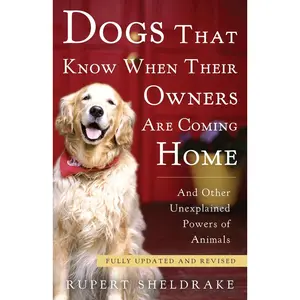 USED-Dogs That Know When Their Owners Are Coming Home: And Other Unexplained Powers of Animals by Sheldrake, Rupert (Paperback)