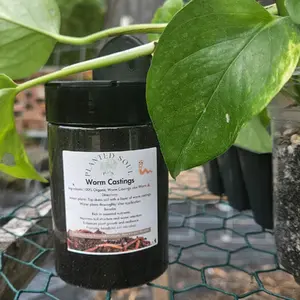 Worm Casting-Organic Houseplant Fertilizer