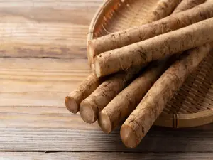 Great Burdock (USDA Organic) Seeds
