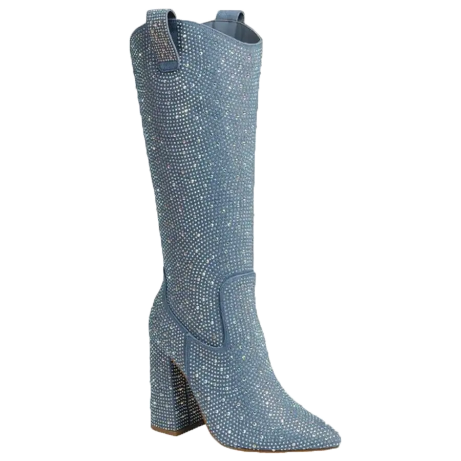 ARIEL-02 WOMEN'S BOOTS RHINE EMBELLISHED POINTY TOE WITH SIDE ZIPPER
