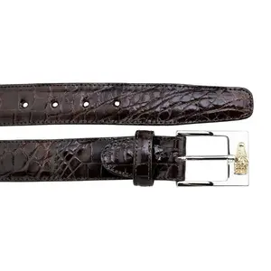 Belvedere Alligator Belt in Chocolate
