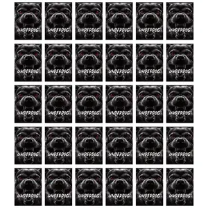 #2463: 30 Box Panini Multi-Year Multi-Sport Break Pick Your Team