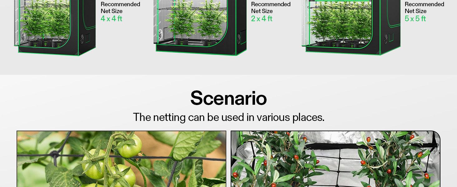 VIVOSUN Elastic Trellis Netting with 4 Hooks for Climbing Plants, Vegetables, Fruits, and Flowers, 1-Pack VIVOSUN Elastic Trellis Netting with 4 Hooks for Climbing Plants, Vegetables, Fruits, and Flowers, 1-Pack