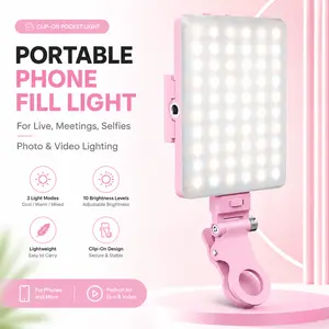 Portable Selfie Fill Light, USB Rechargeable LED Clip-On Phone Light for iPhone and Android, Live Streaming, Makeup and Vlog Photography Accessory, Selfie Panel Light#GLOBAL PICKS