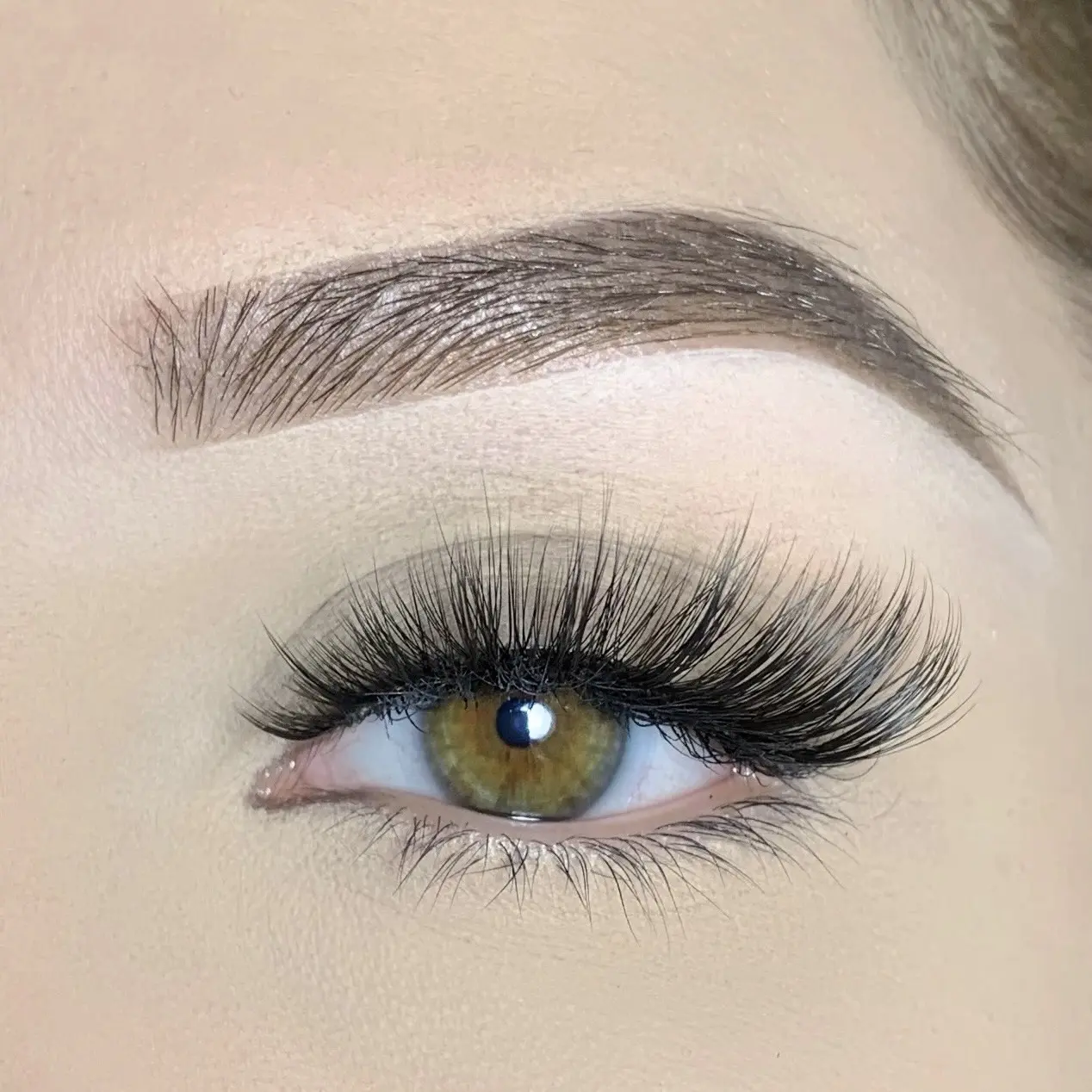 Daydream Lashes - Fluttery Cat Eye Falsies