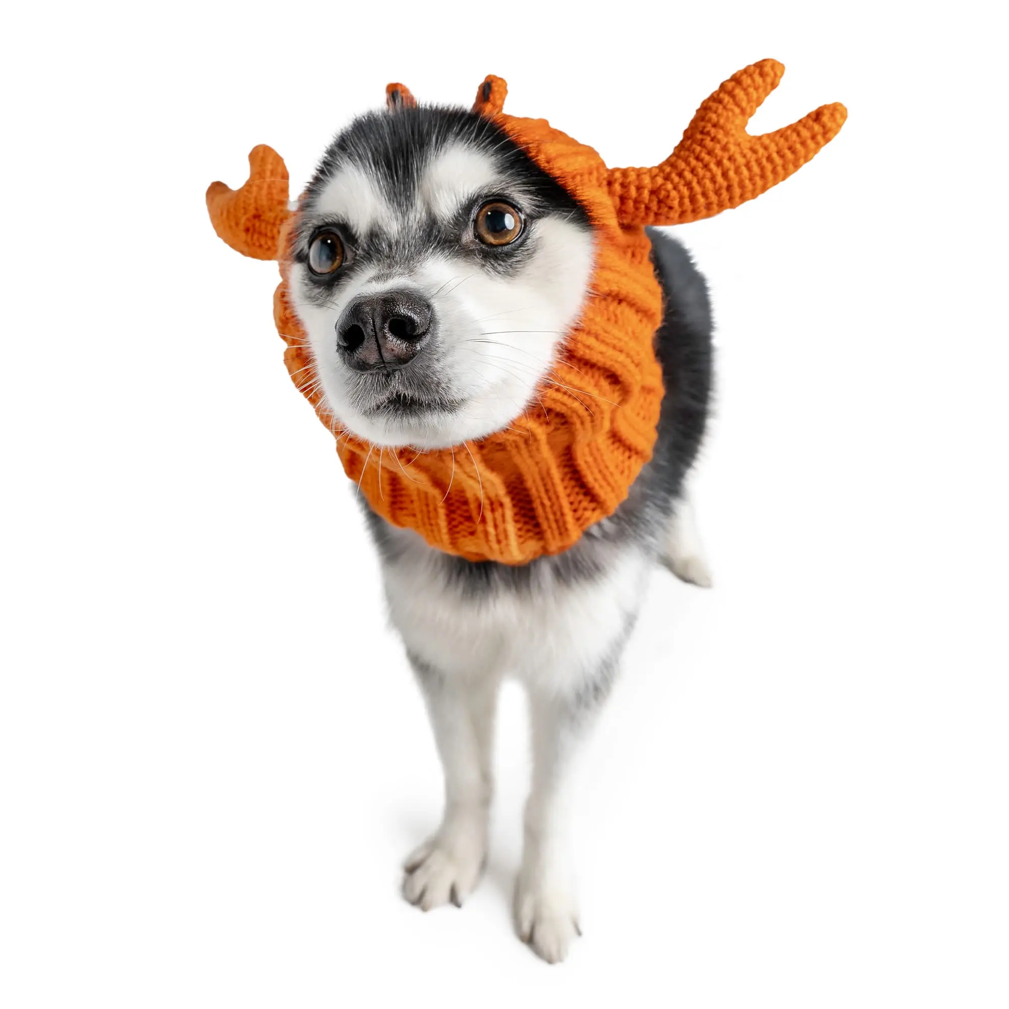 Crab Zoo Snood