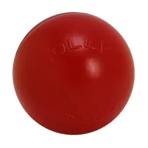 JOLLY  Push-N-Play Ball for Dogs – Hard Plastic, Ultra Durable & Won’t Deflate