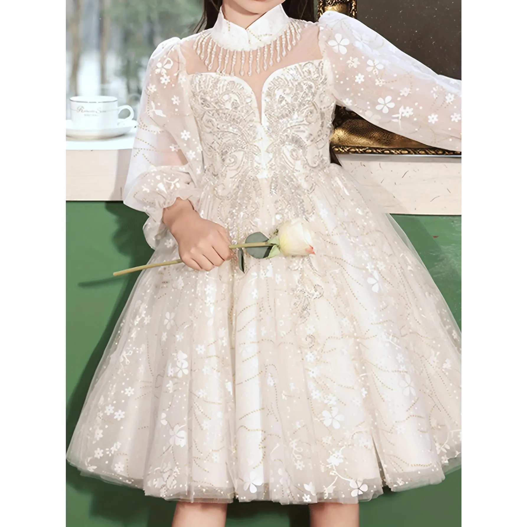 Girls' 13-14y Princess Look Formal Dress - Elegant Polyester Long-Sleeve Crew Neck, Beaded Sheer Tulle Midi, Party & Performance Wear