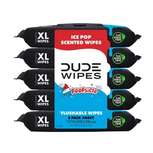 DUDE paper Wipes Poopsicle, Ice Pop Scented Extra Large Flushable Wipes, 48 Count, 5 Pack (240 Total)