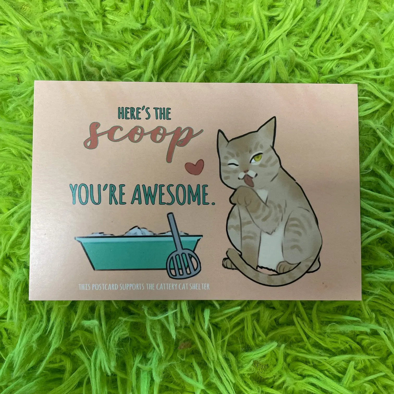 Templeton Scoop Postcard