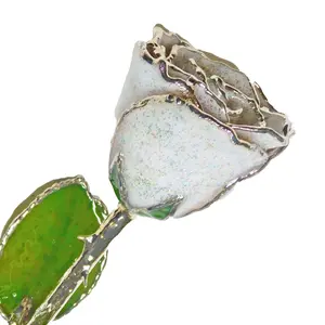 Silver Forever Rose - Opal Sparkle (October Birthstone)