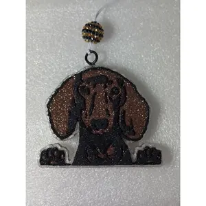 Dachshund Freshie Dachshund Freshie
