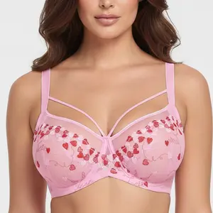 HSIA Renna Valentine's Day Embroidery Sheer Mesh Lightweight Lift Underwire Bra Comfort Fit