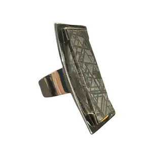 Adjustable Meteorite Ring