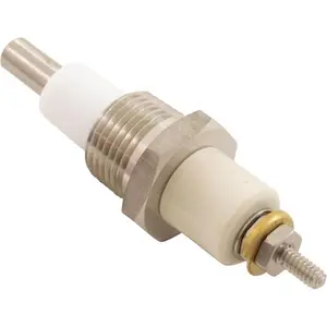 Raypak  Remote Sensor for Low Water Cut-Off