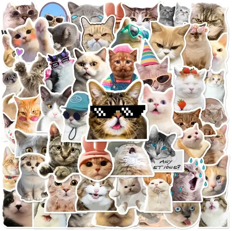 5 STICKER RANDOM
