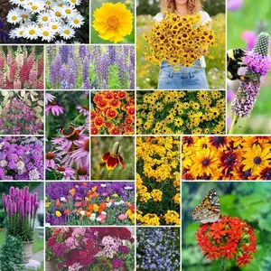 Wildflower Mix 1000Pcs Seeds – Heirloom Assorted Flower Seeds for Garden & Meadow, Easy to Grow, Colorful Seasonal Blooms for Pollinators and Landscaping