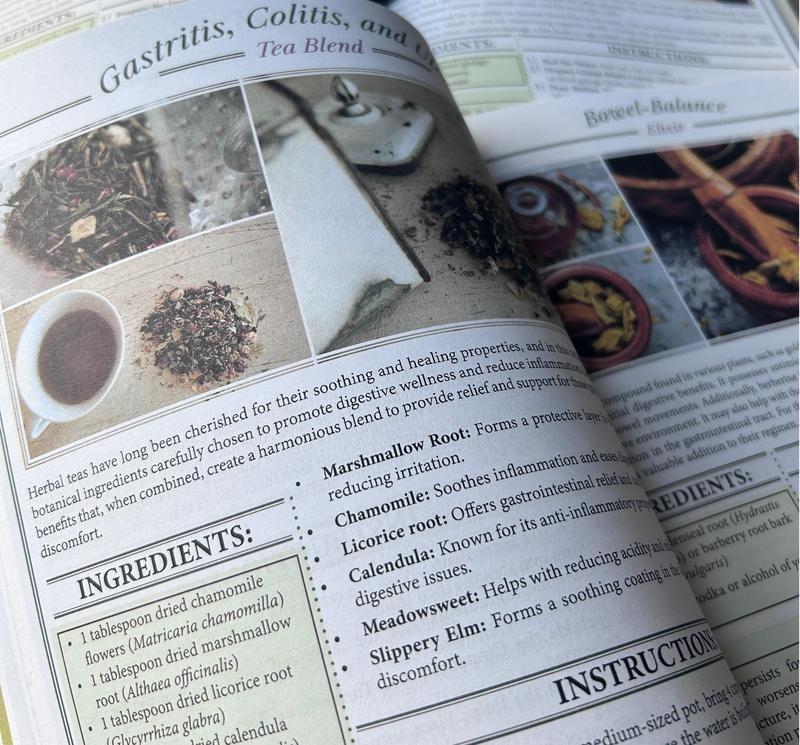 2026 Complete Home Natural Therapy Set: 250 powerful therapies at your fingertips, holistic health and self-care, including the preparation of tinctures, infusions, decoctions, plasters, teas, and patches.