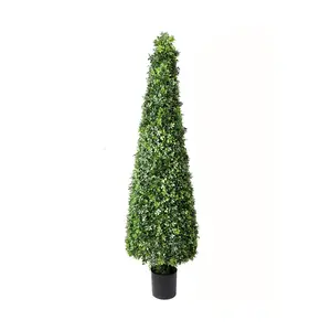 72" English Boxwood Cone Topiary by Valerie
