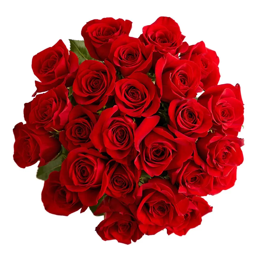 1800 Flowers - 24 Stem Red Roses Bouquet Only, Fresh Flowers 1800 Flowers - 24 Stem Red Roses Bouquet Only, Fresh Flowers