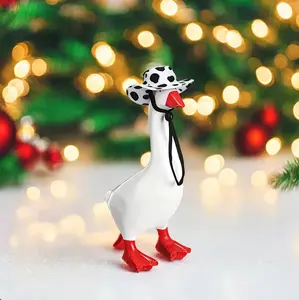 Goose Glasses – Funny Novelty Sunglasses, Viral TikTok Gag Gift, Cute Animal Party Glasses, Photo Prop Must-Have, Random Style Surprise