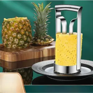 Stainless Steel Pineapple Meat Extractor Corer Peeler Knife 2/4pcs for Home Kitchen Utensils
