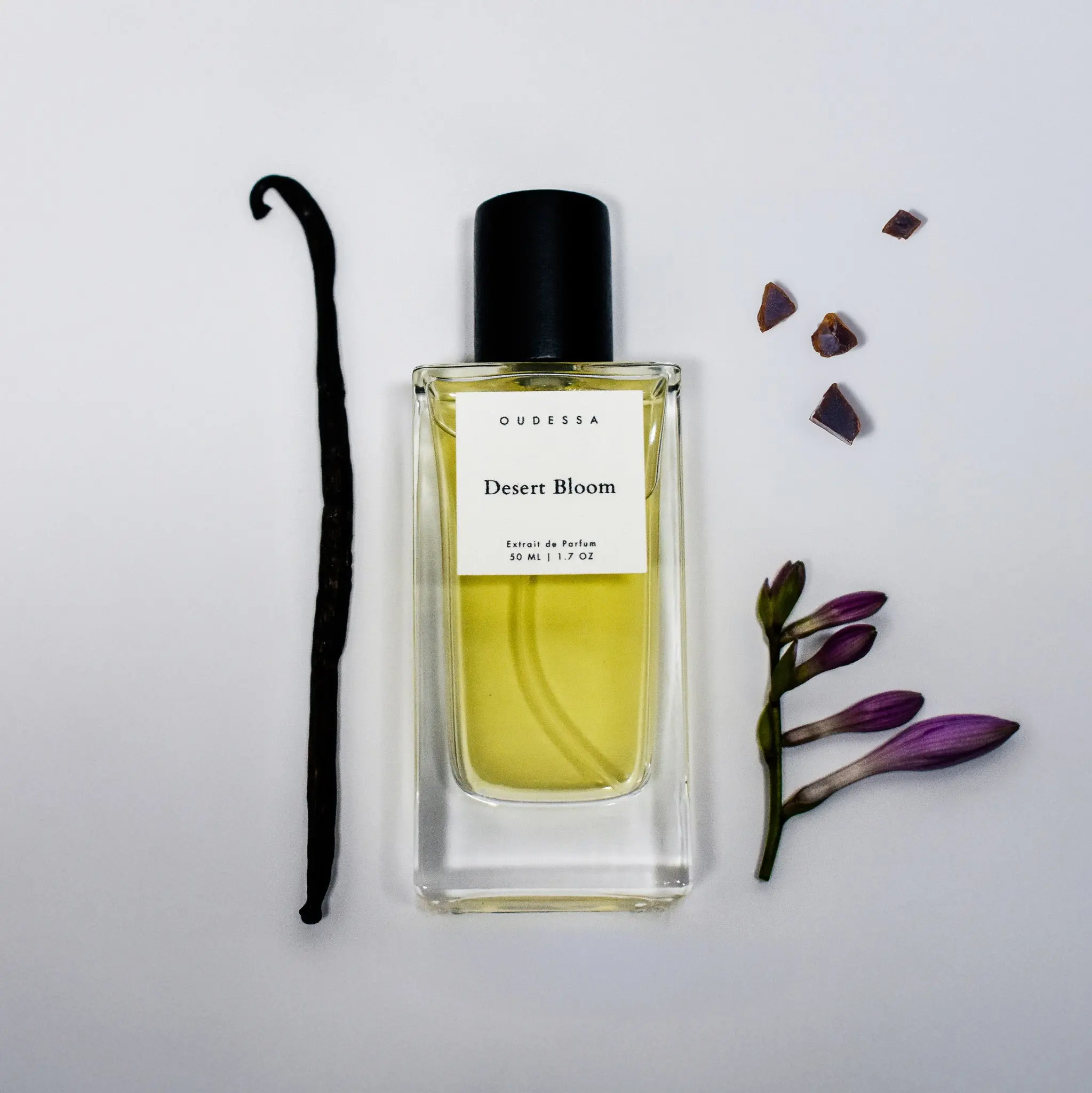 Desert Bloom - TikTok Shop