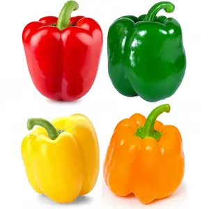 100 Mix Sweet Peppers Seeds (Capsicum annuum) – Sweet Peppers Seed Packets Bell Pepper For Vegetable Garden – Non GMO Heirloom Dwarf Vegetable Seeds for Containers and Home Garden Beds