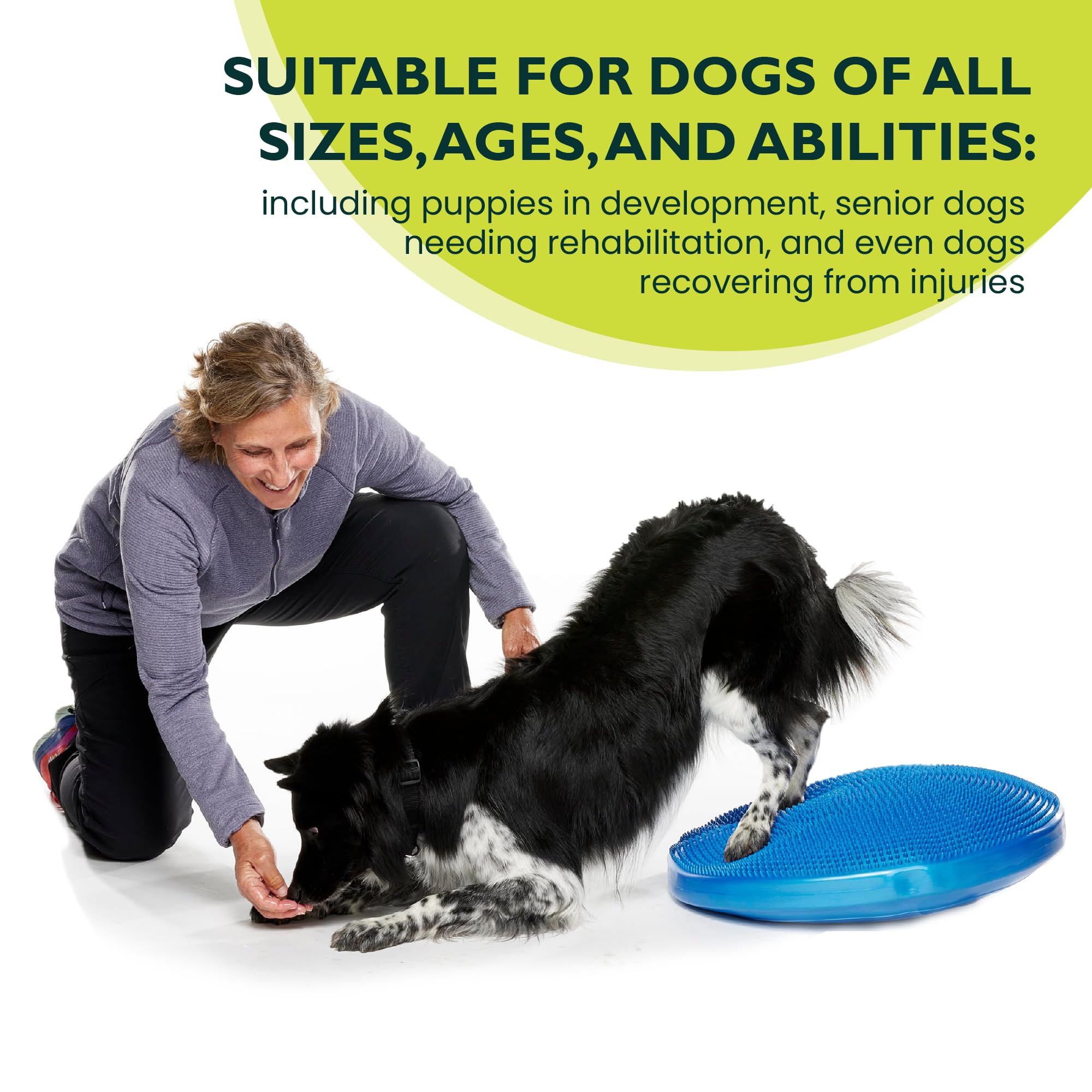 Pet Sensory Balancing Disc, Stability Wobble Cushion for Dogs, Improves Coordination & Core Strength, Dog Workout Tool Pet Sensory Balancing Disc, Stability Wobble Cushion for Dogs, Improves Coordination & Core Strength, Dog Workout Tool
