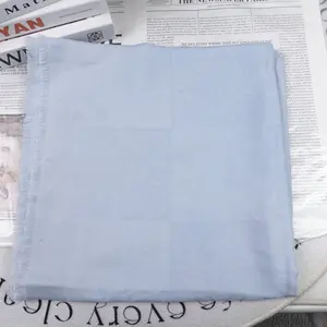 Pre-owned Loewe Baby Blue Wool Scarf T20288860