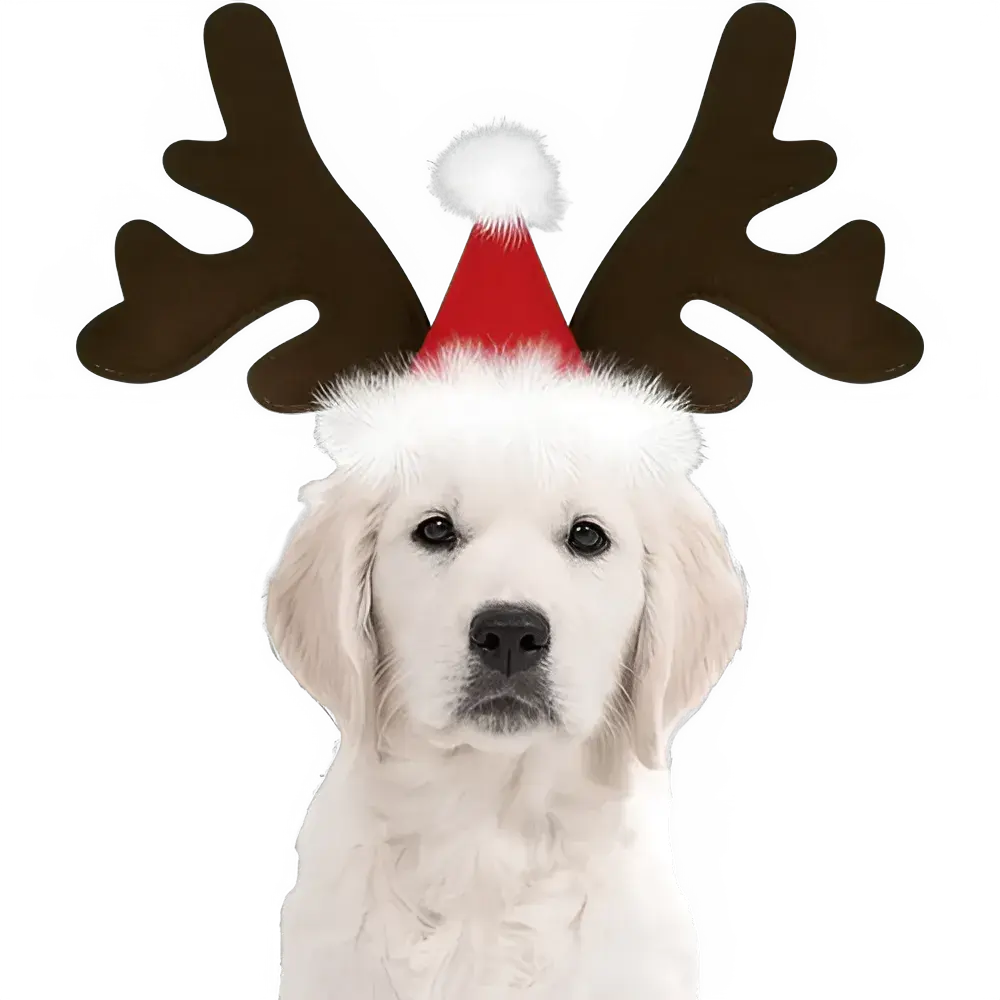 Adorable Santa Antlers for Dogs & Cats