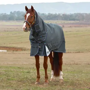 WeatherBeeta ComFiTec Ultra Detach-A-Neck Heavy Weight Turnout Blanket for Horses - 1800D, 360g Polyfill, Waterproof & Breathable